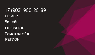 9039502589